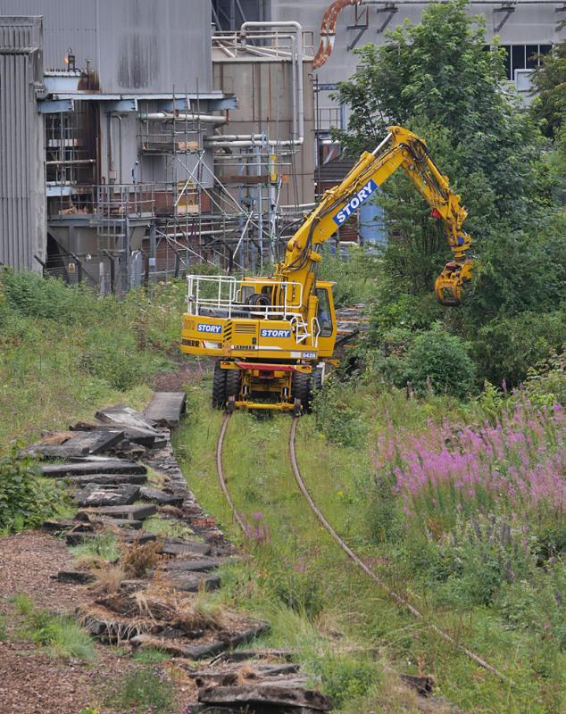 Photo of Cameron Bridge gardening