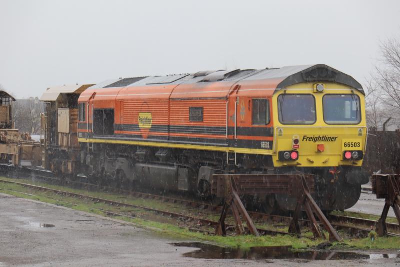 Photo of Freightliner 66503 @ Fort William Yard