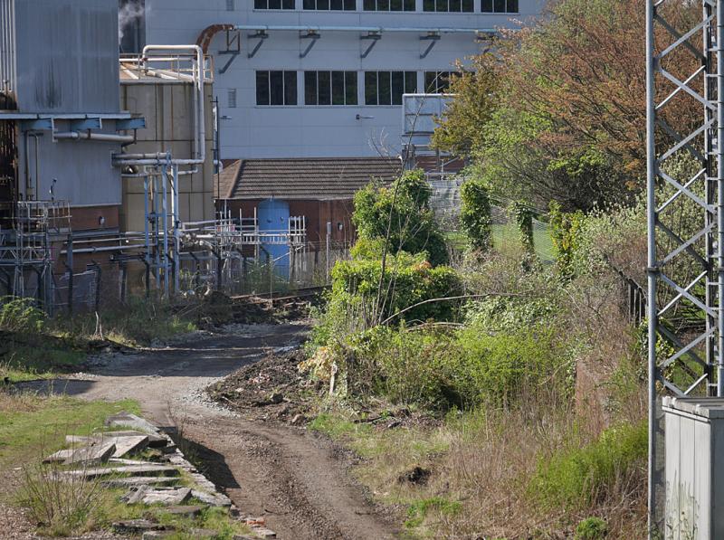 Photo of Cameron Bridge work