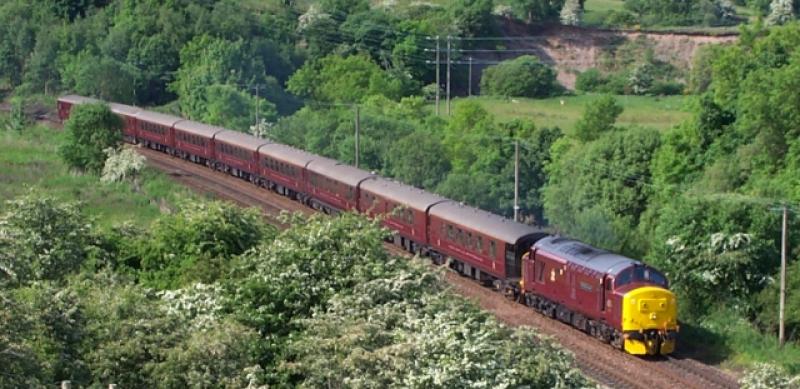 Photo of 37401 on the Royal Scotsman (13-June-2001)