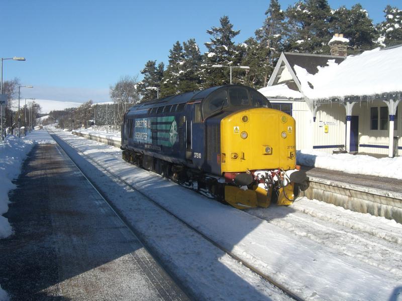 Photo of 510 in Carrbridge Loop