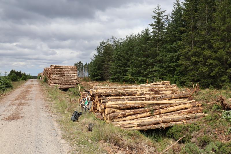 Photo of Altnabreac Station  Access Road/Track