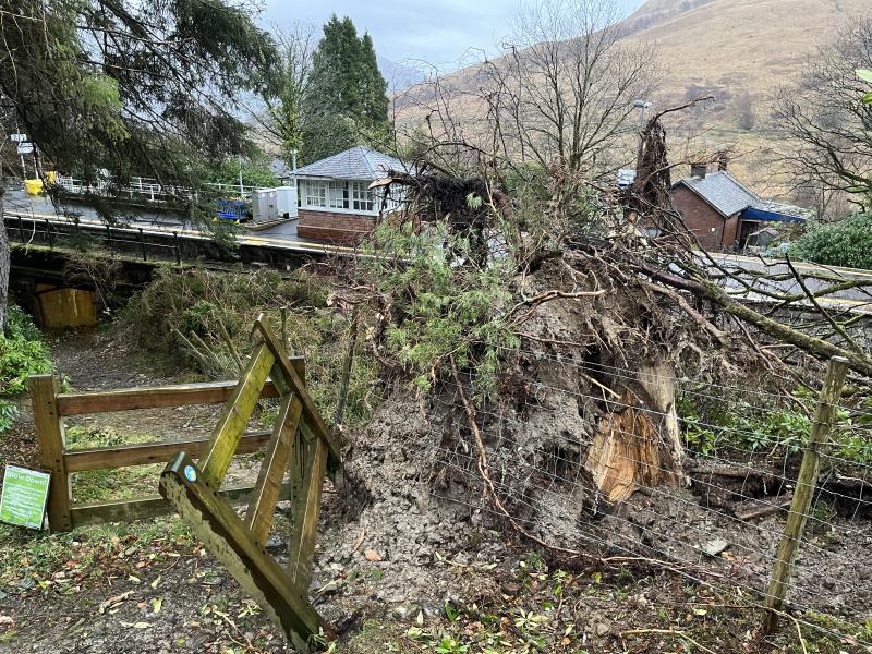 Photo of Arrochar Station - Tree Blockage