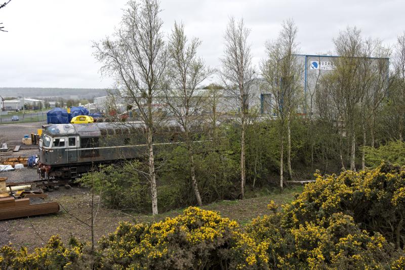 Photo of 26'S NEAR BRECHIN 28.4.24.jpg