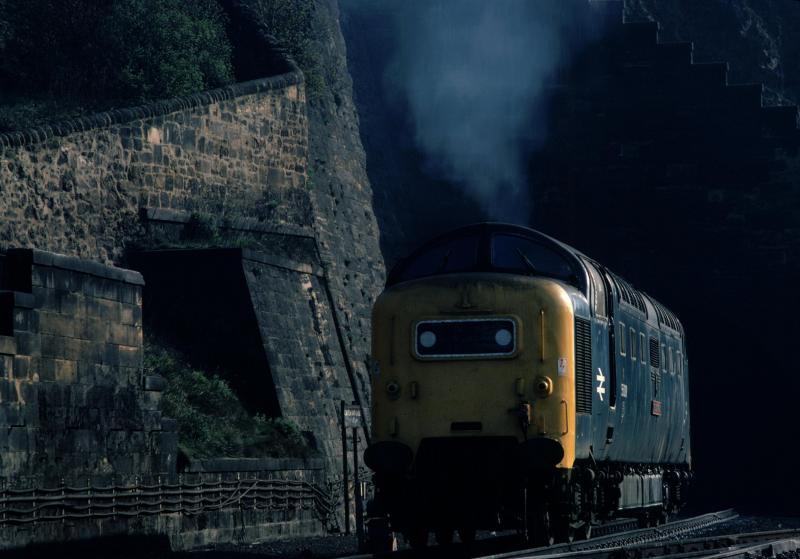 Photo of The Green Howards at Waverley Station