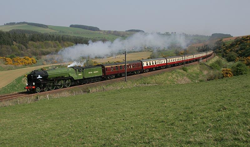 Photo of Tornado at Houndwood