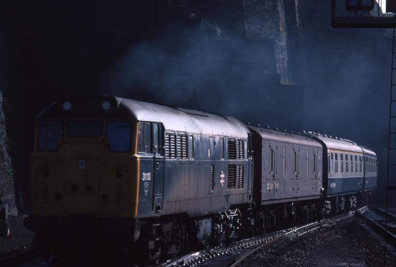 Photo of 31113 emerges into the light at Waverley