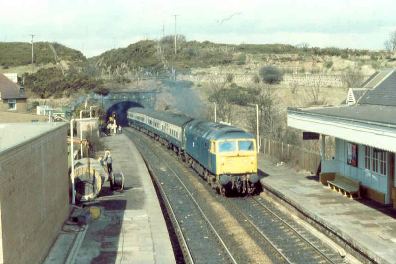 Photo of Class 47 pioneer 47402