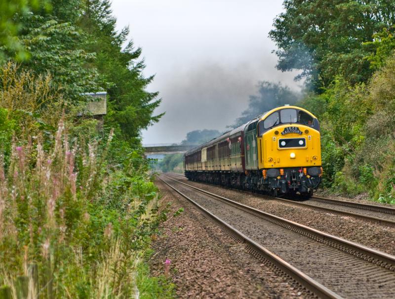 Photo of 40145