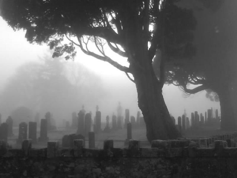 Photo of Creepy graveyard