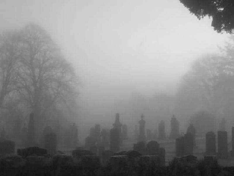 Photo of Misty graveyard