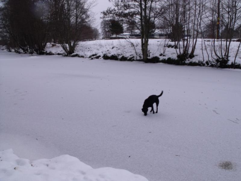 Photo of Frozen river