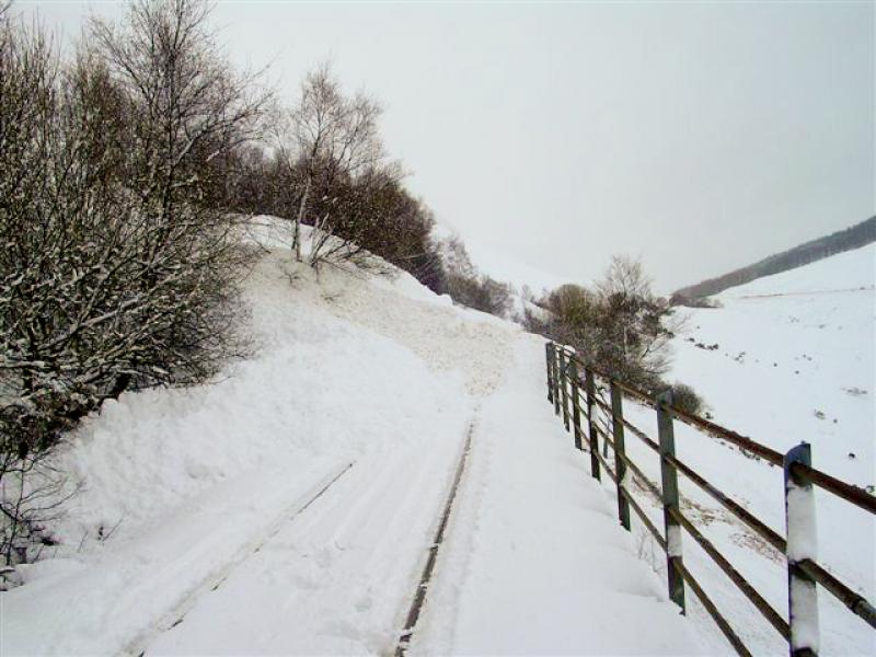 Photo of County March Avalanche