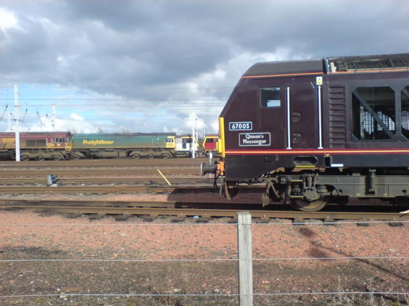 Photo of 67005 at Mossend Yard