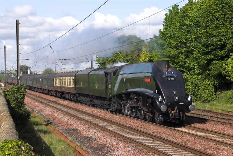 Photo of 60019 