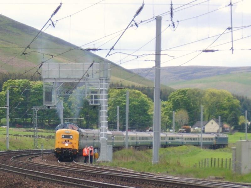 Photo of Royal Scots Grey.  31st May 2010