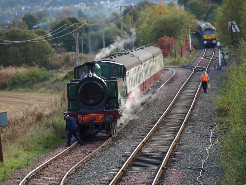 Photo of The Scotsman Lies in Wait