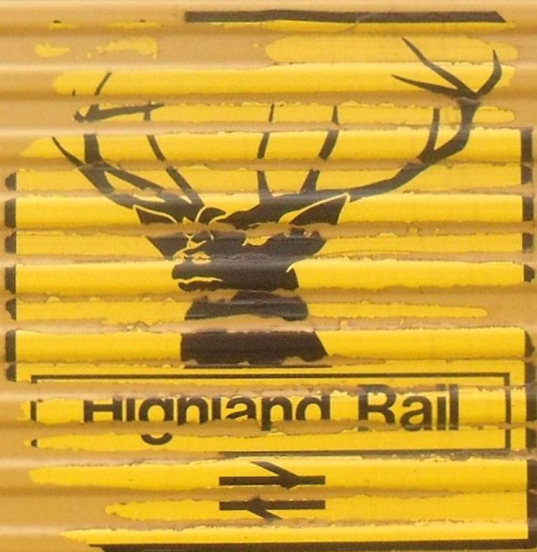 Photo of highland stag