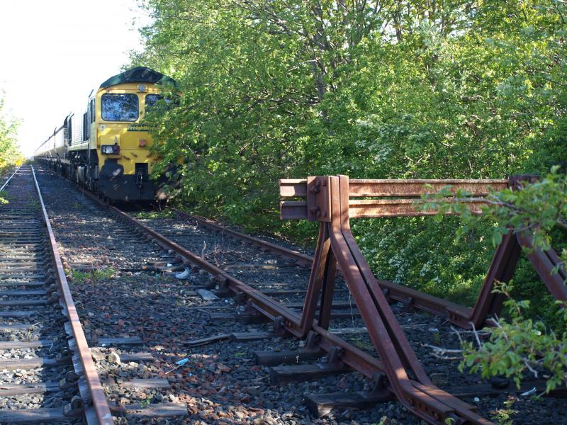 Photo of Barassie - 66508 - 10-05-2009 