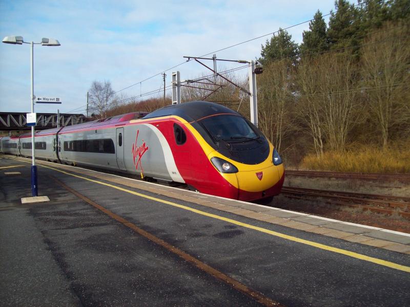 Photo of pendalino