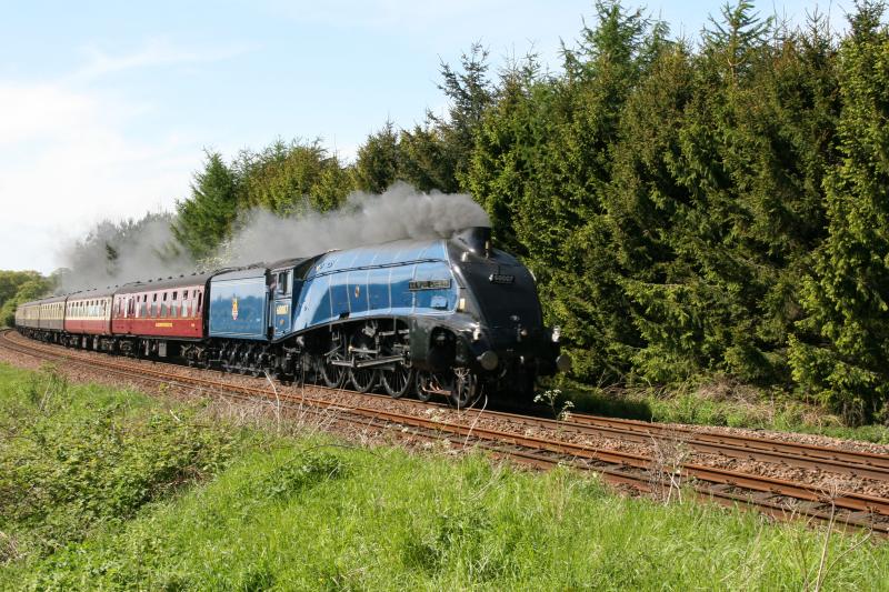 Photo of A4 Sir Nigel Gresley in Fife by S.Braid