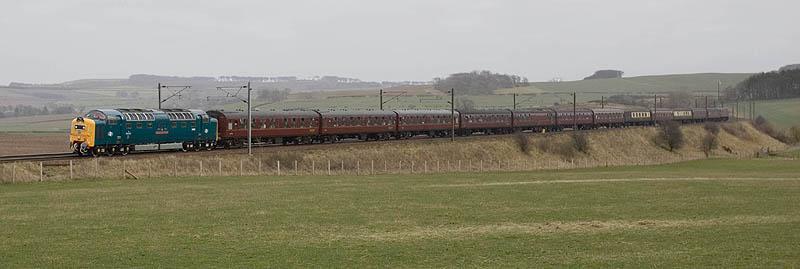 Photo of Royal Scots Grey at Reston Hill