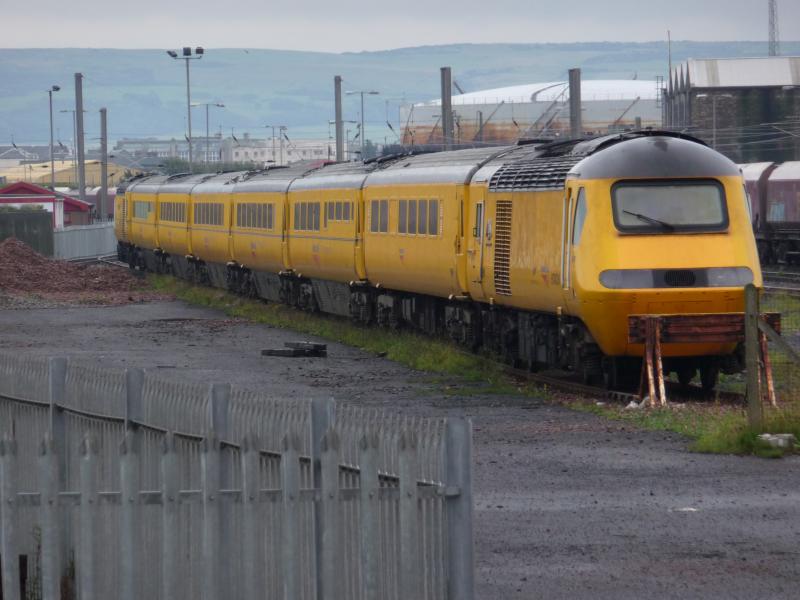 Photo of Flying Banana in Falkland yard