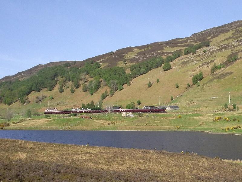 Photo of The Royal Scotsman at Balnacra.