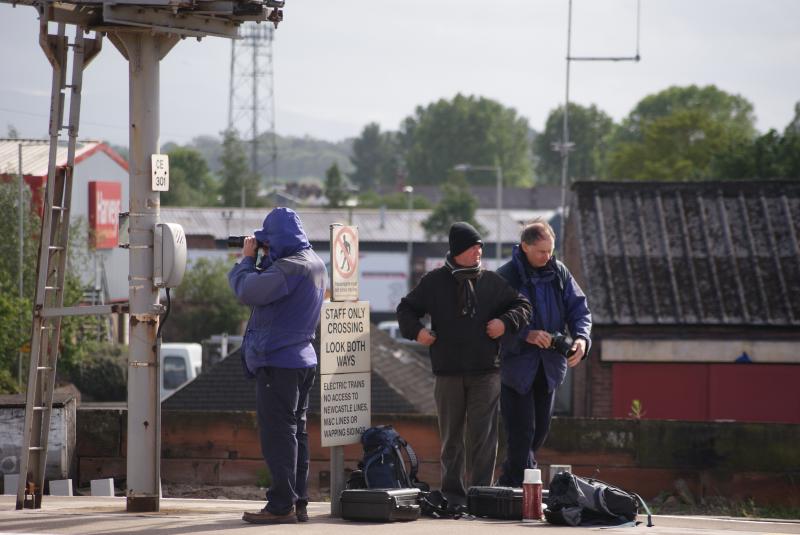 Photo of Gaggle of Snappers