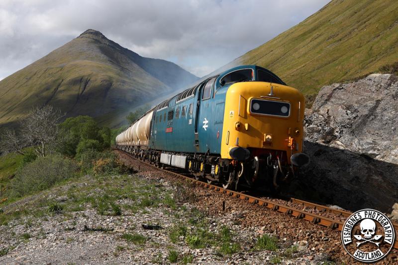 Photo of 55022 @ County March 30th May 2011