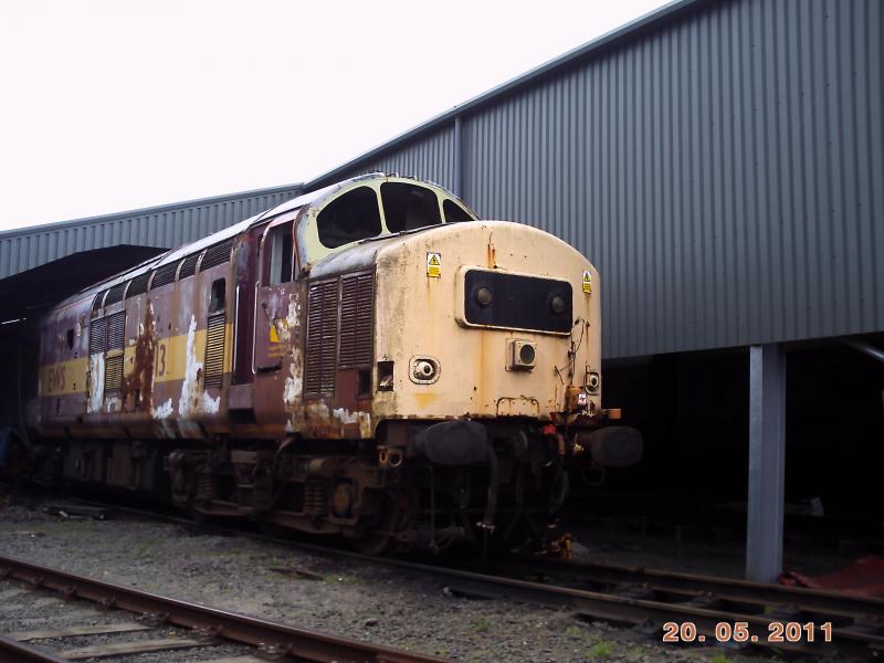 Photo of 37413 in Bo'ness