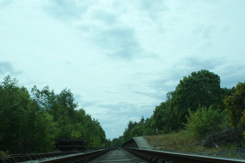 Photo of Cat's Eye View